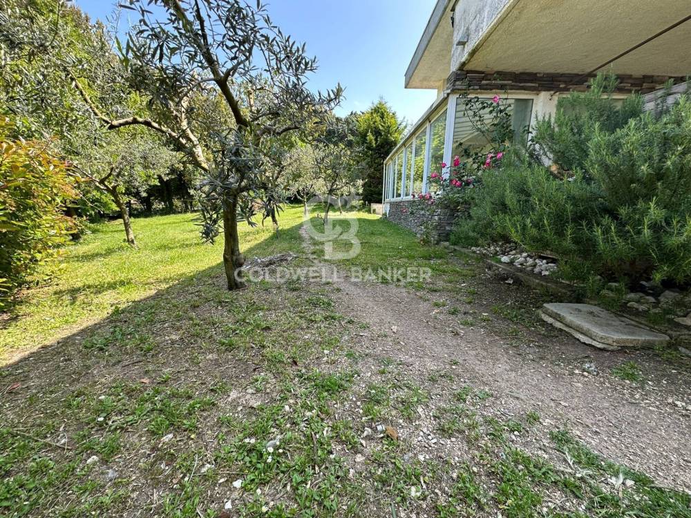immagine annuncio 5 di 13