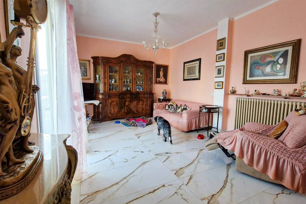 immagine annuncio 3 di 13