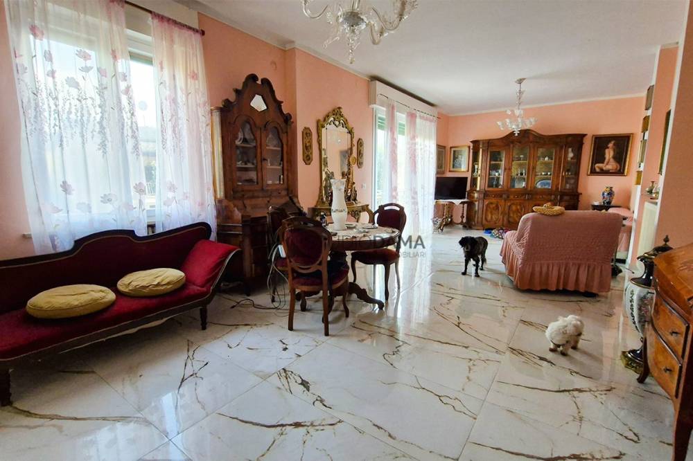 immagine annuncio 5 di 13