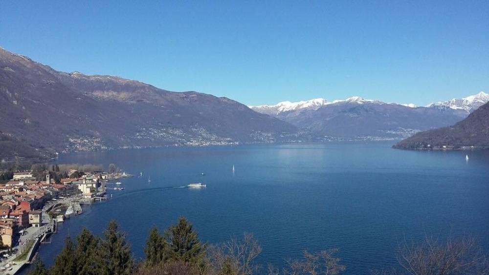 immagine annuncio 1 di 14