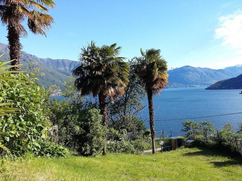 immagine annuncio 6 di 14
