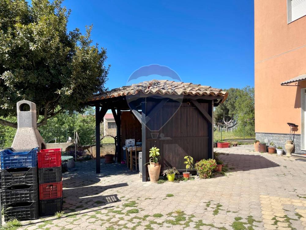immagine annuncio 9 di 14