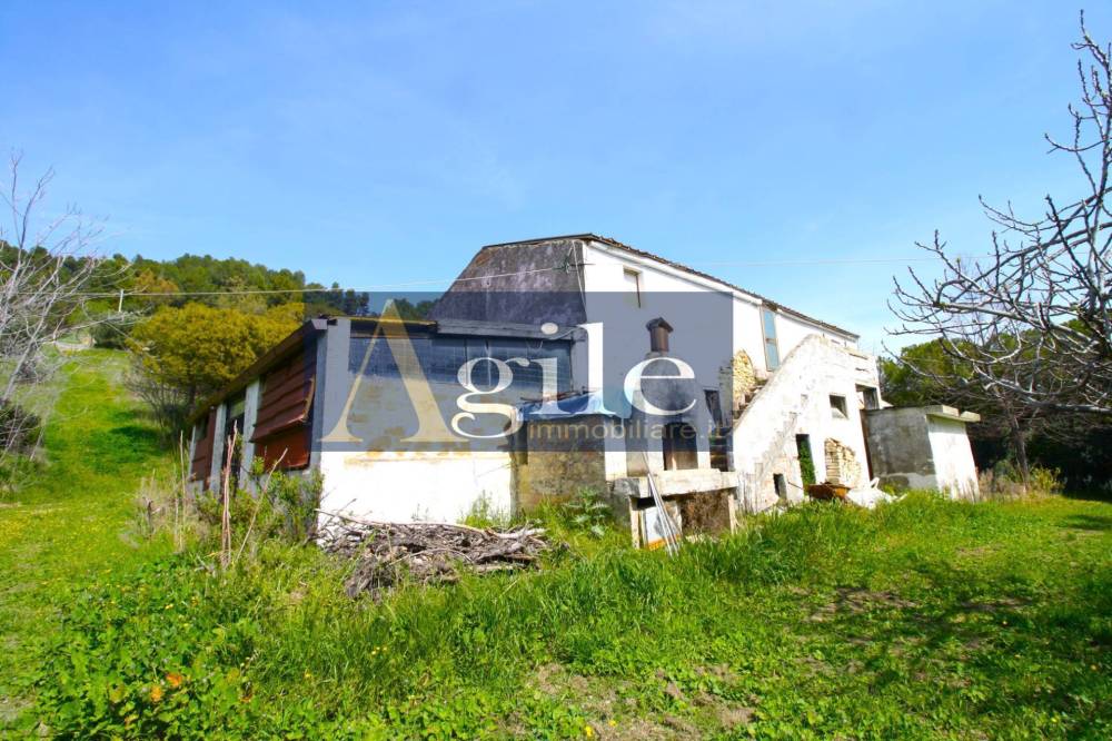 immagine annuncio 4 di 13