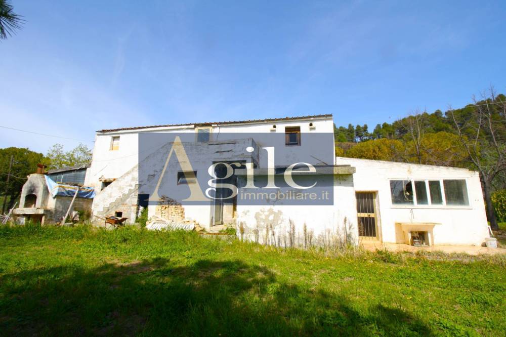 immagine annuncio 3 di 13