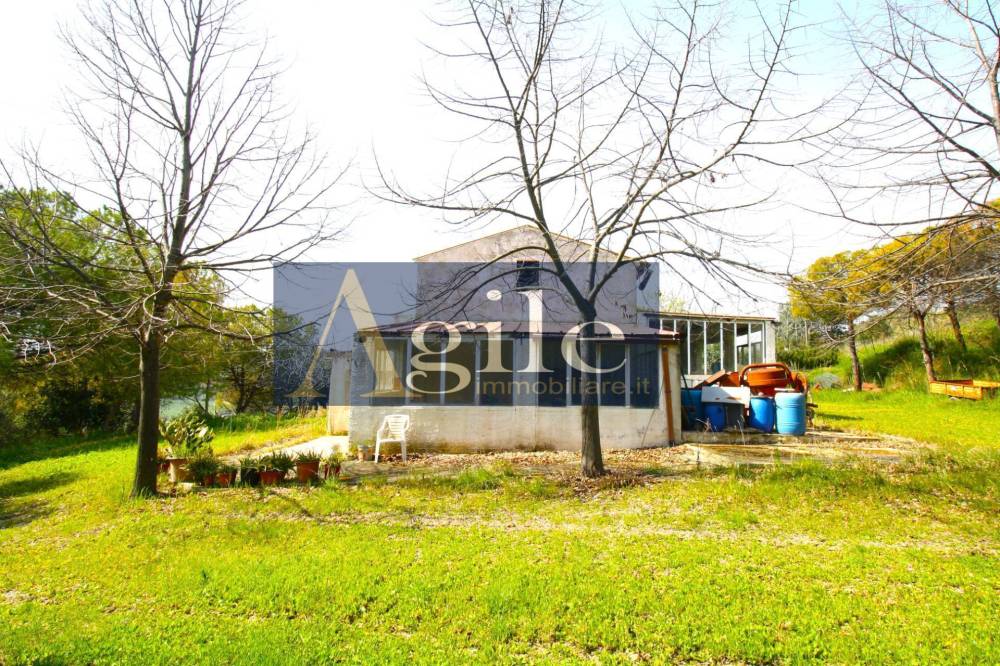 immagine annuncio 2 di 13