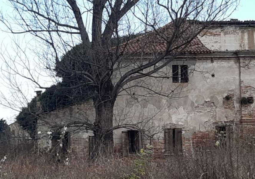 immagine annuncio 3 di 13
