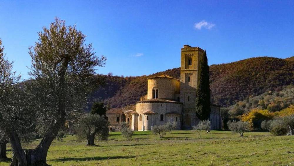 immagine annuncio 8 di 11