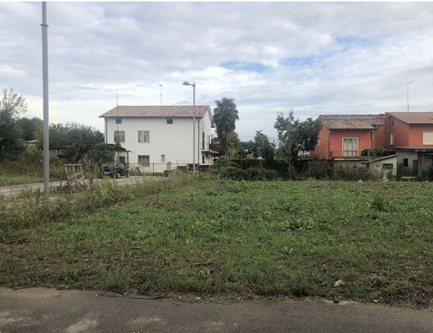 immagine annuncio 3 di 13
