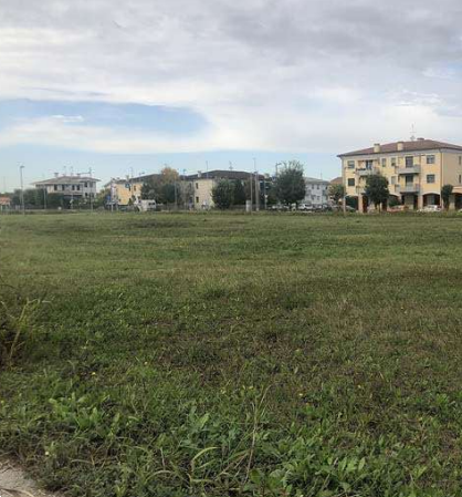 immagine annuncio 7 di 13