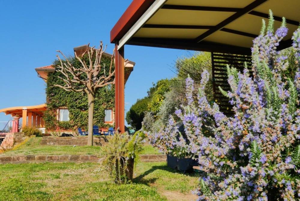 immagine annuncio 1 di 13