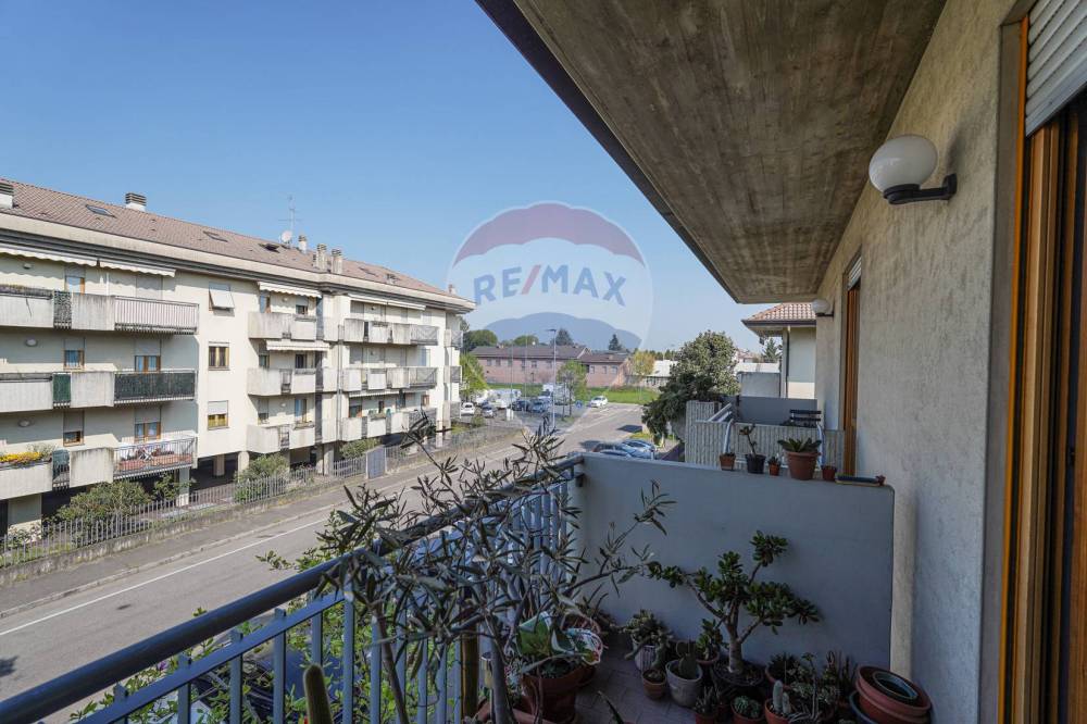 immagine annuncio 6 di 13