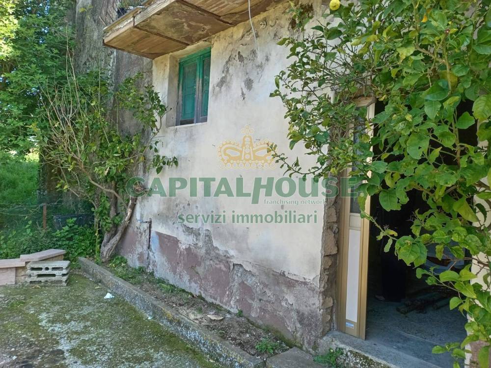 immagine annuncio 2 di 9