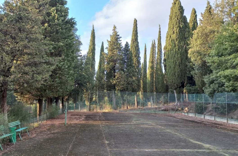 immagine annuncio 10 di 13