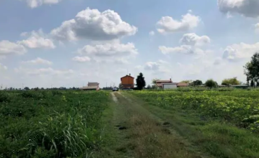 immagine annuncio 1 di 12