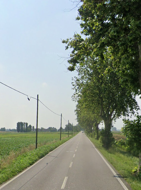 immagine annuncio 5 di 12