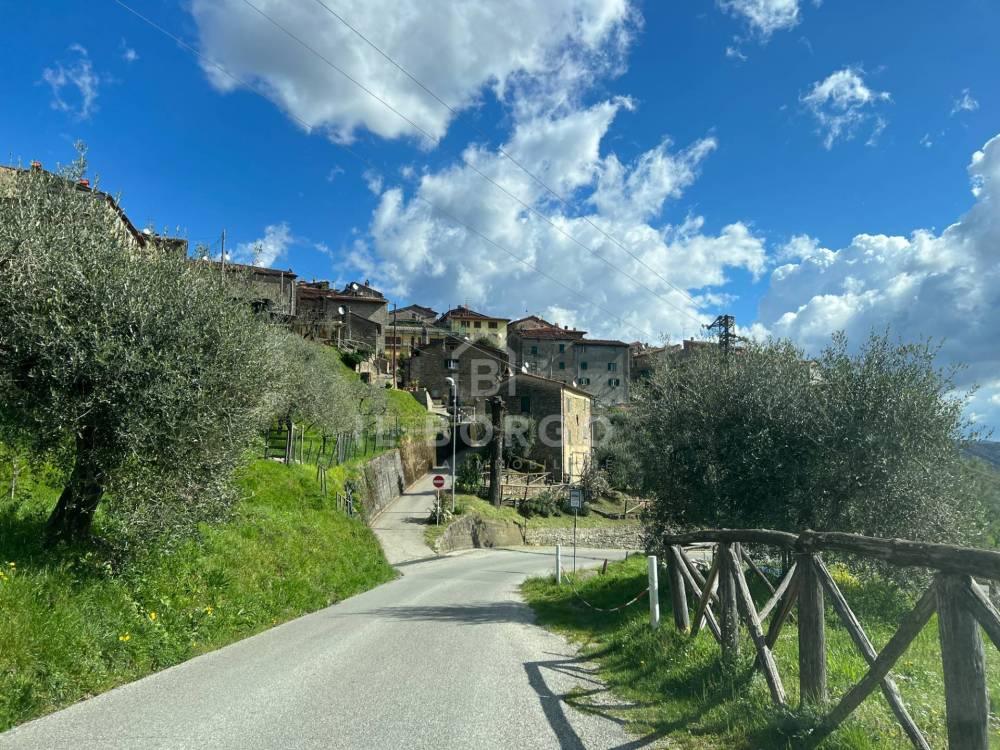 immagine annuncio 6 di 13