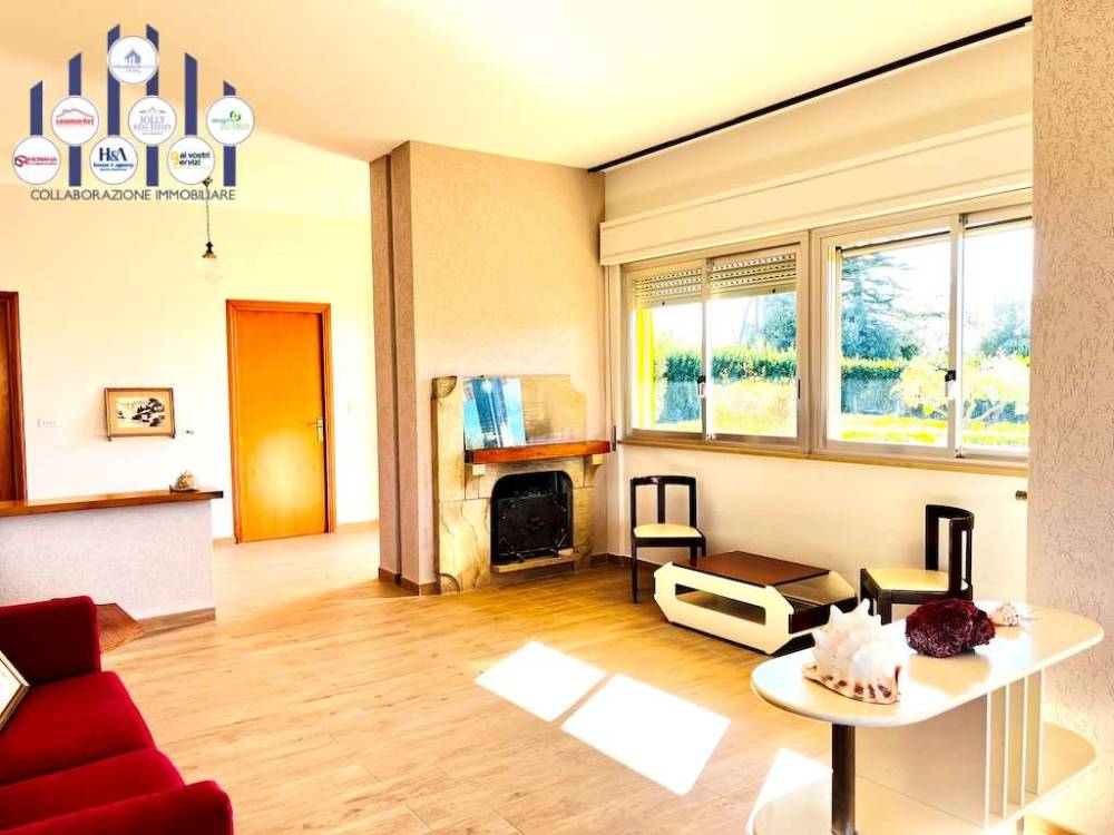 immagine annuncio 12 di 13