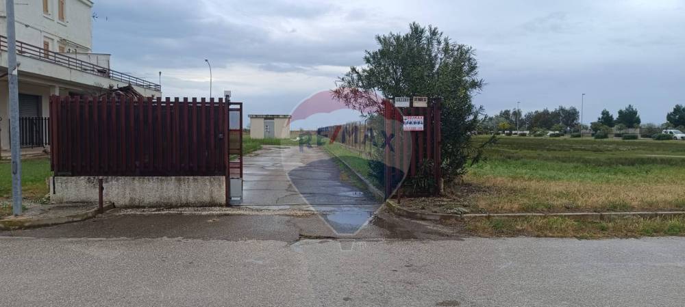 immagine annuncio 6 di 13