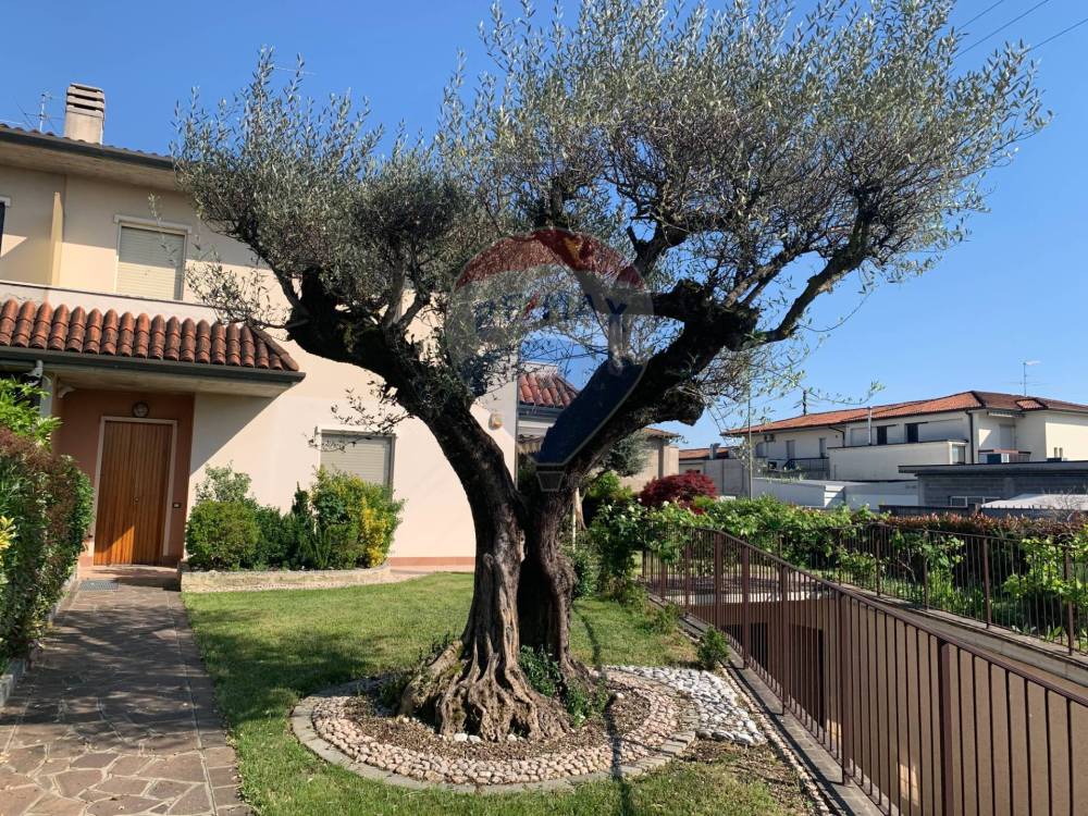 immagine annuncio 11 di 14