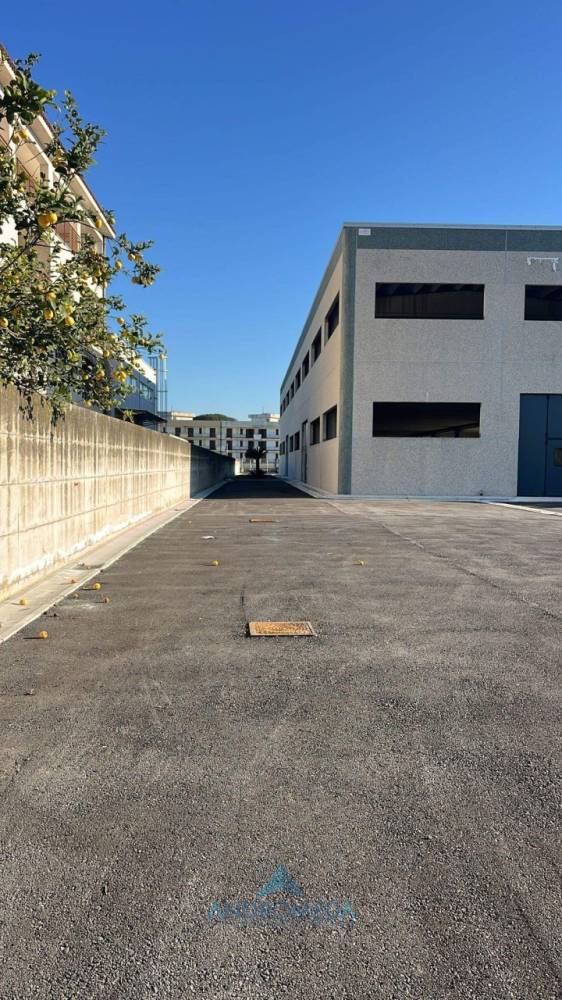 immagine annuncio 7 di 9