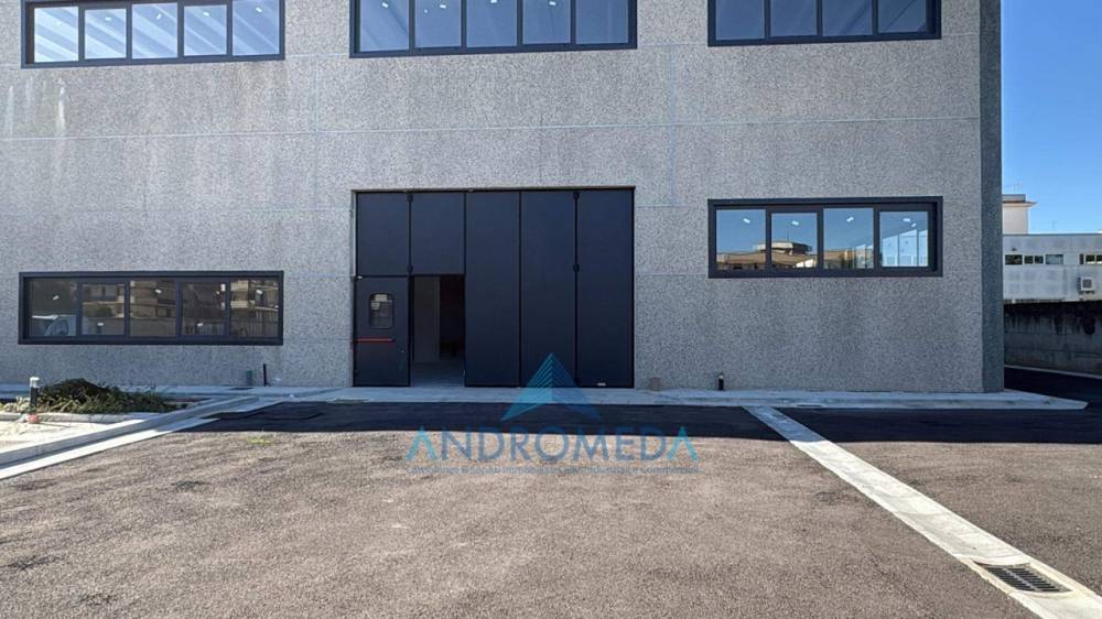 immagine annuncio 3 di 7