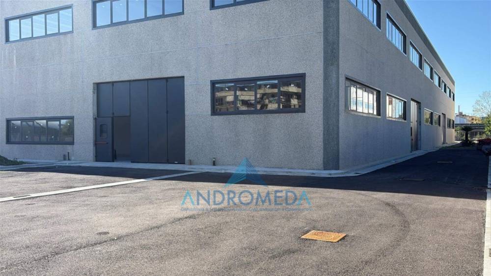 immagine annuncio 2 di 7