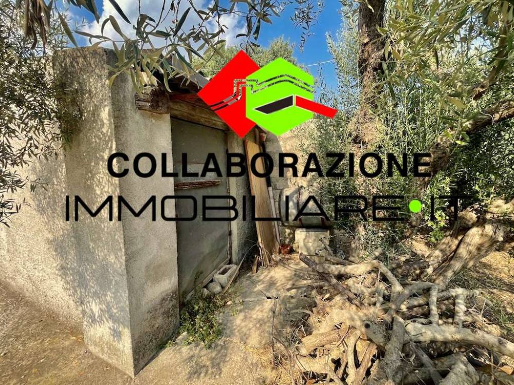 immagine annuncio 4 di 13