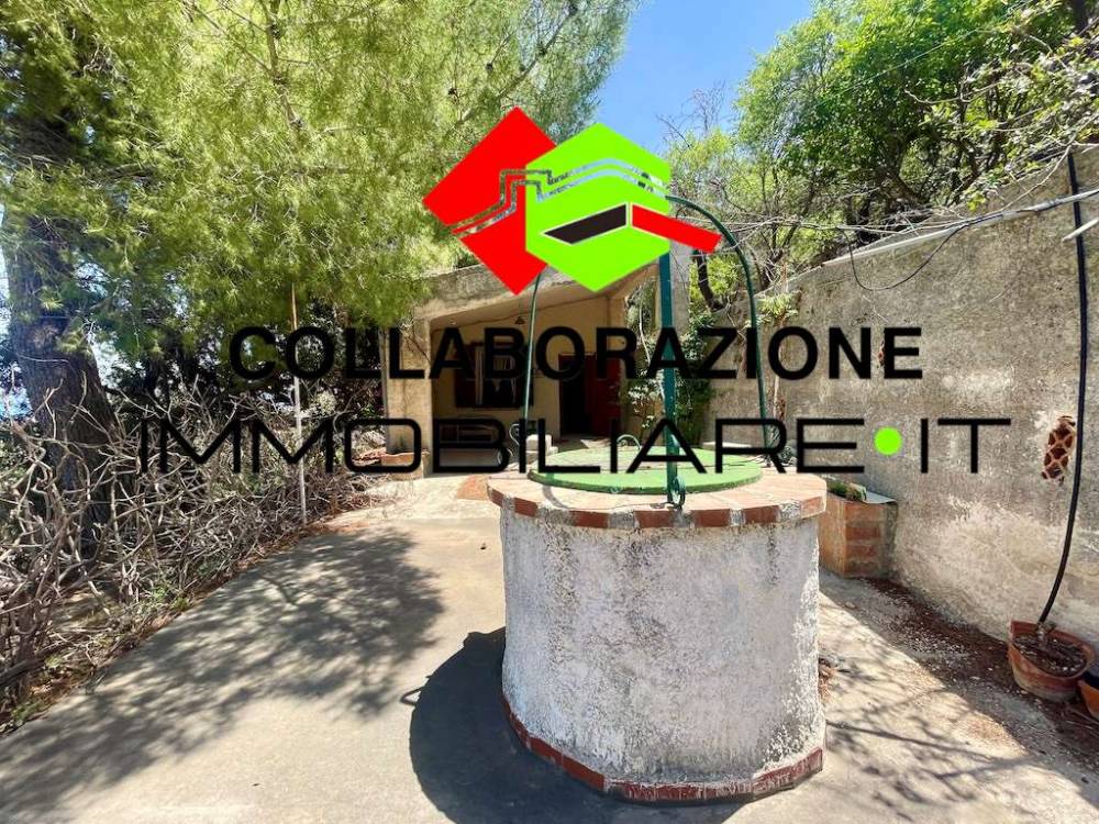 immagine annuncio 9 di 13