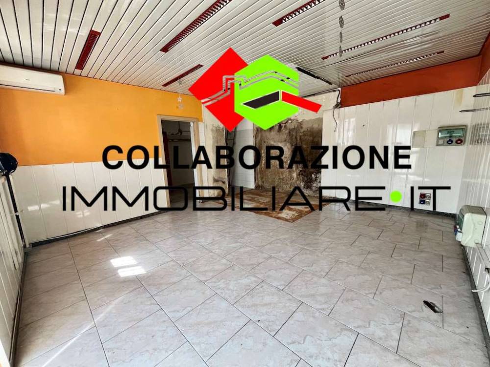 immagine annuncio 4 di 13