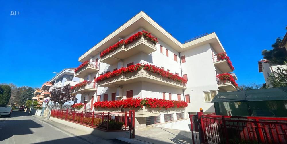 immagine annuncio 12 di 13