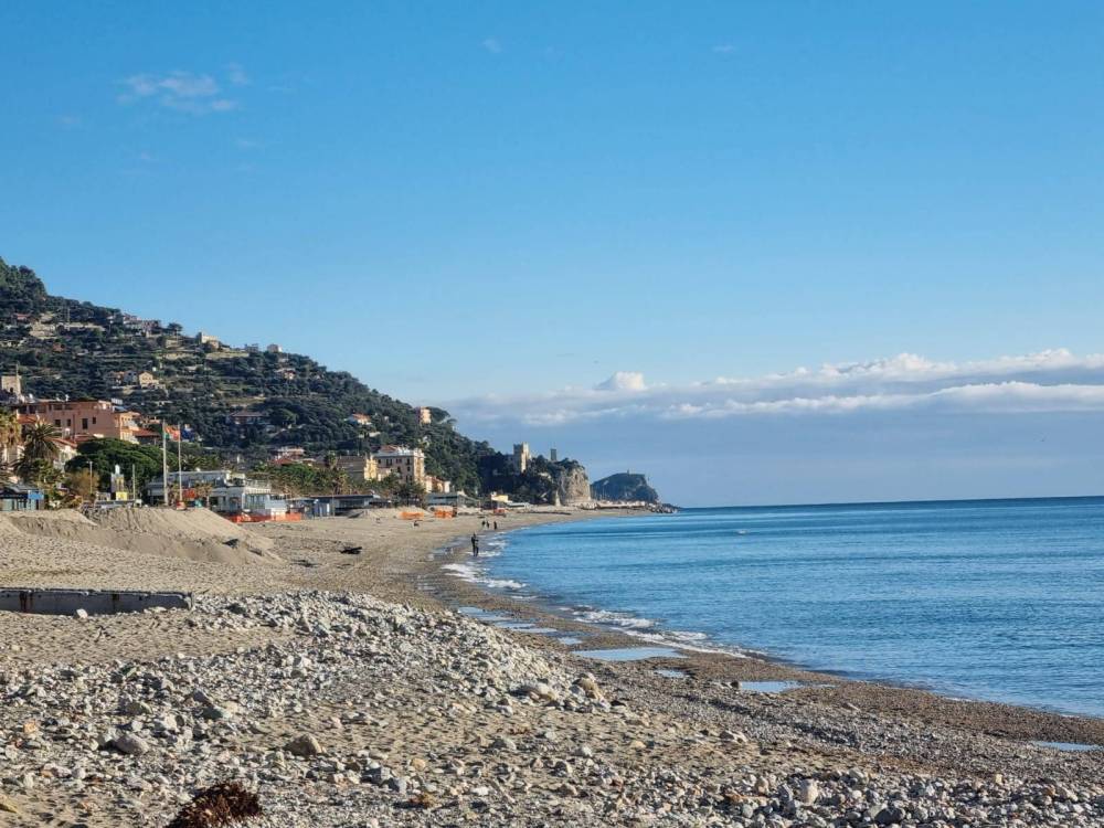 immagine annuncio 12 di 14