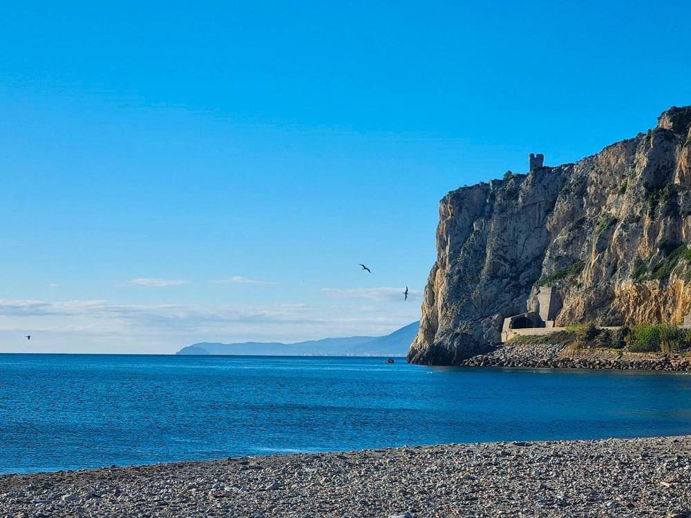 immagine annuncio 13 di 14