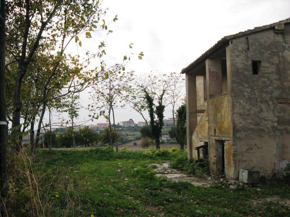 immagine annuncio 1 di 7