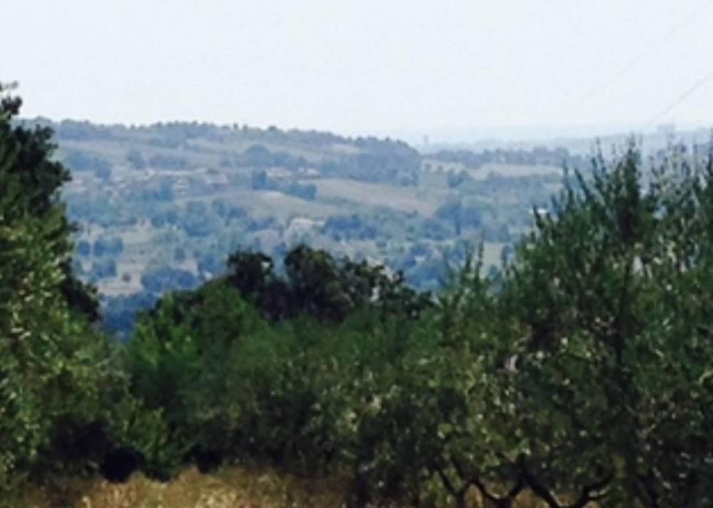 immagine annuncio 4 di 7