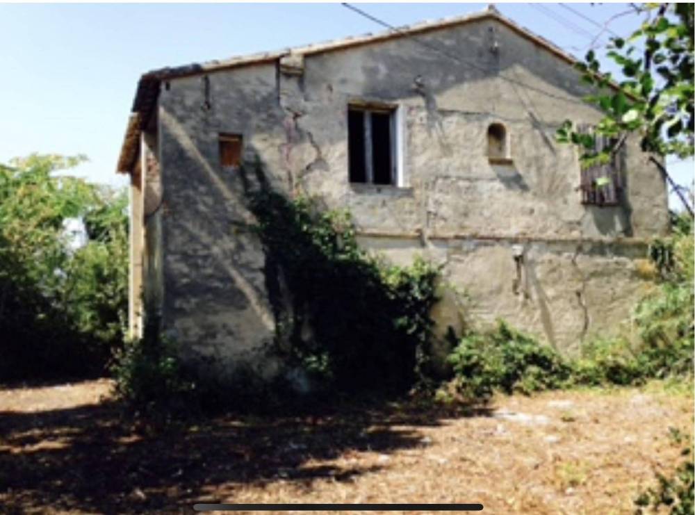 immagine annuncio 5 di 7