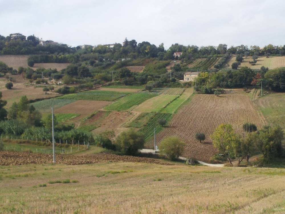 immagine annuncio 10 di 13