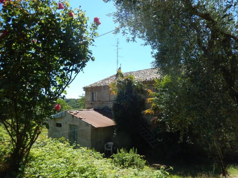 immagine annuncio 4 di 13