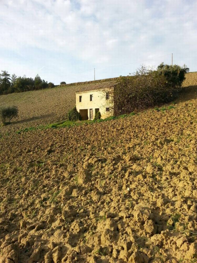 immagine annuncio 1 di 9