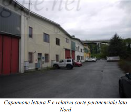 immagine annuncio 3 di 9