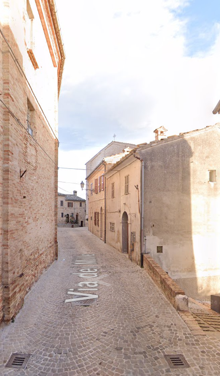 immagine annuncio 2 di 13