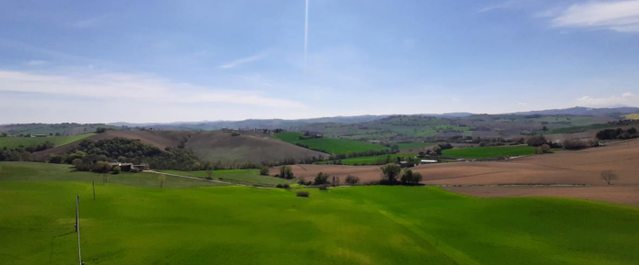 immagine annuncio 4 di 13