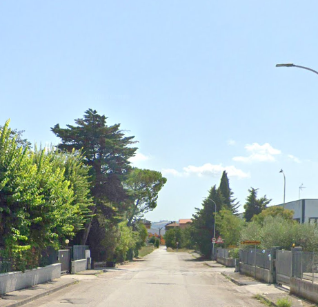 immagine annuncio 1 di 13