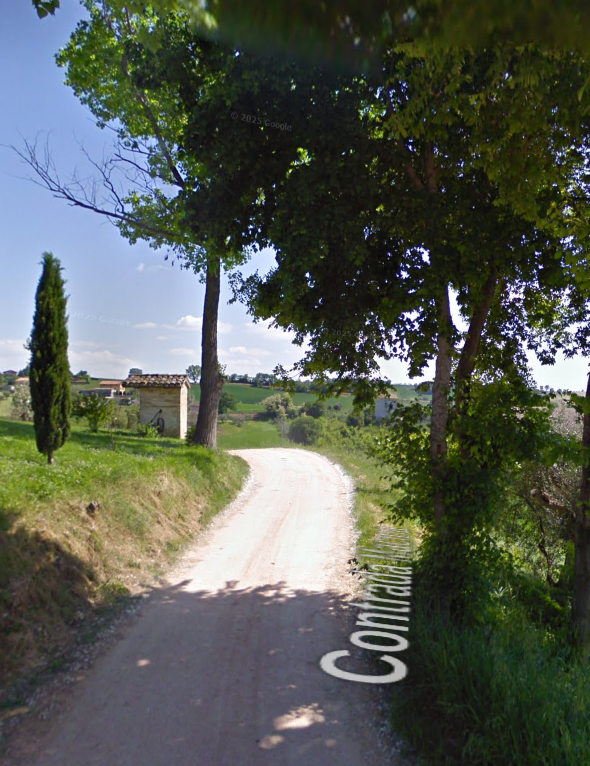 immagine annuncio 6 di 12