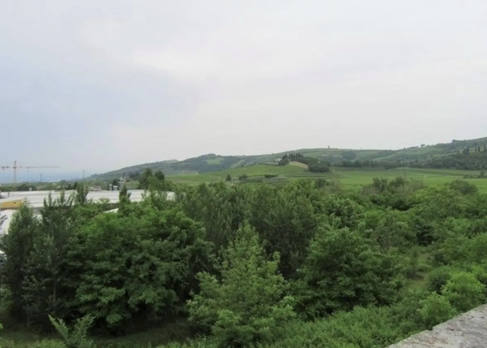immagine annuncio 10 di 13