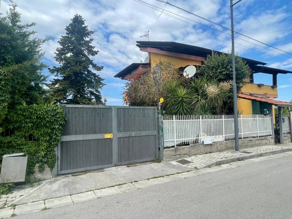 immagine annuncio 2 di 13
