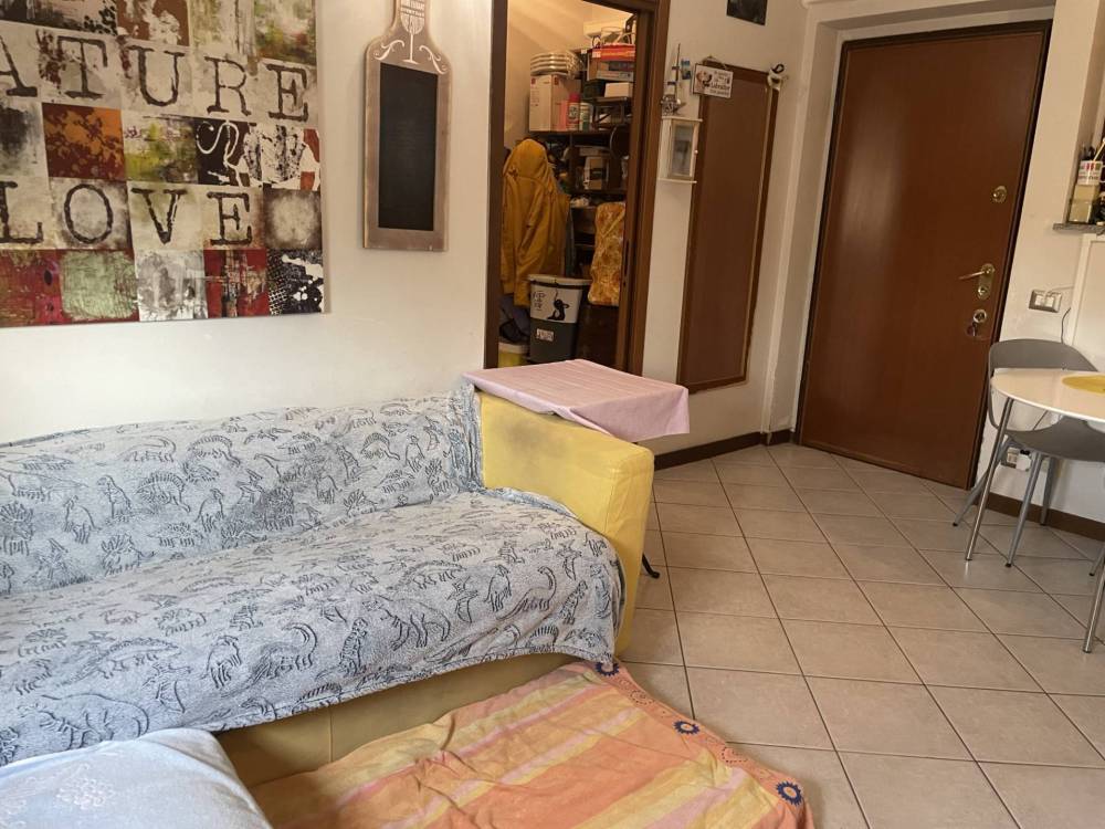 immagine annuncio 1 di 6