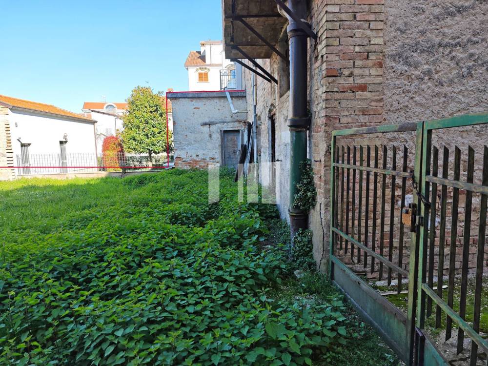 immagine annuncio 3 di 13