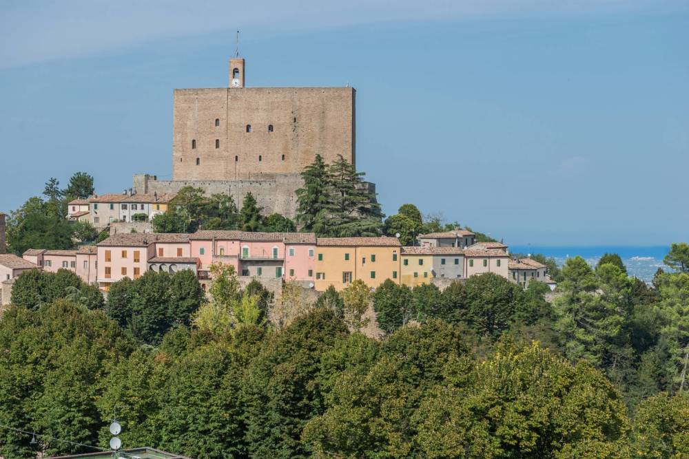immagine annuncio 7 di 13