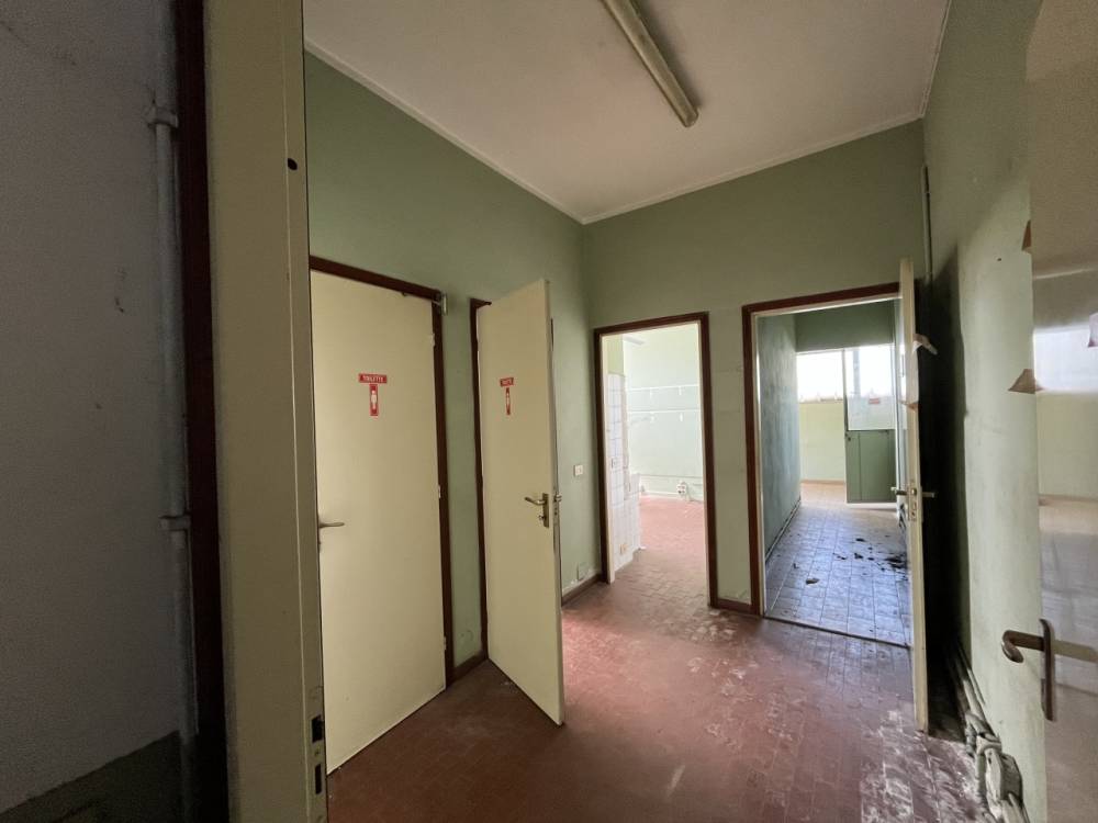 immagine annuncio 10 di 13