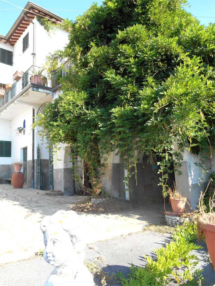 immagine annuncio 1 di 13